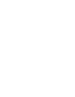 Wolterink Icon