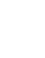 Wolterink Icon